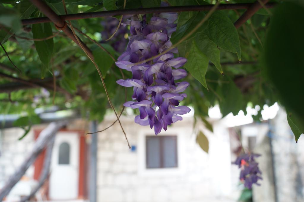 Apartments Stinice Gradac  Exterior foto